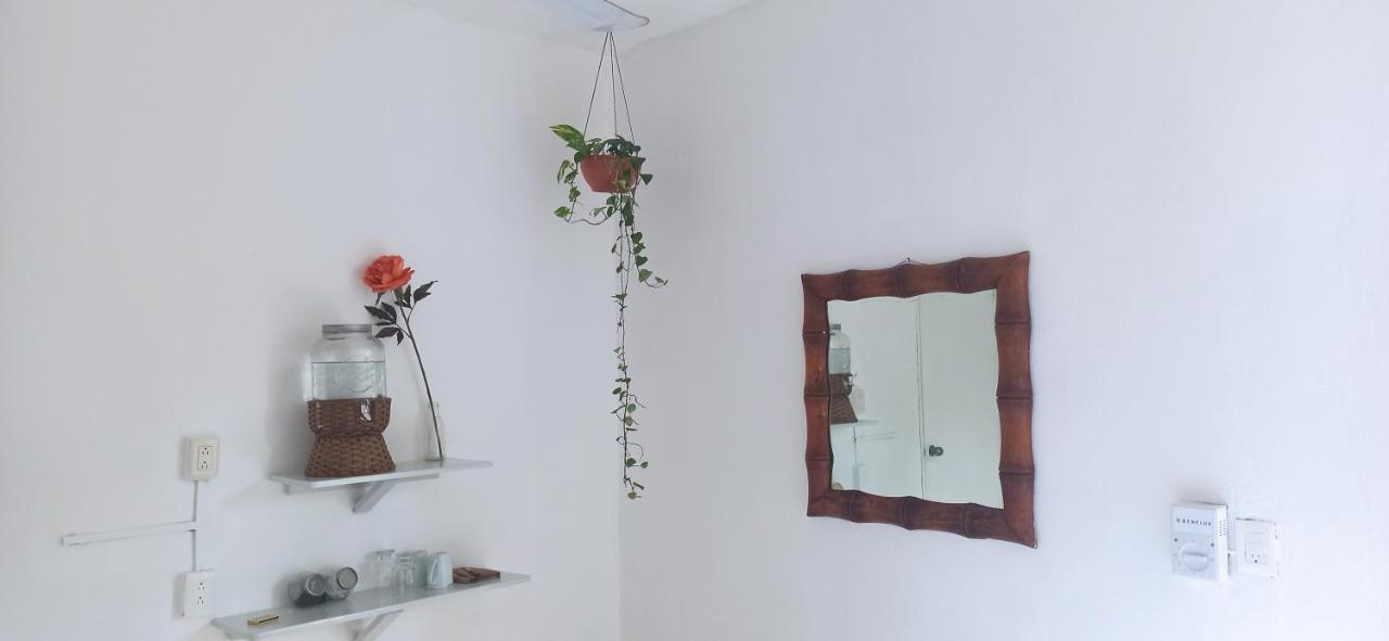 Casa Arte Bacalar Leilighet Rom bilde